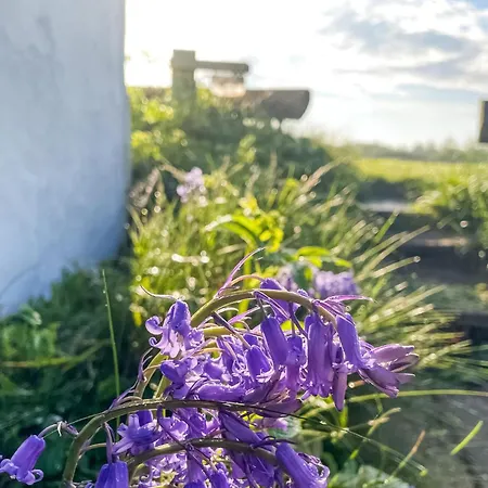 Gorgeous In With Wifi * Vemb