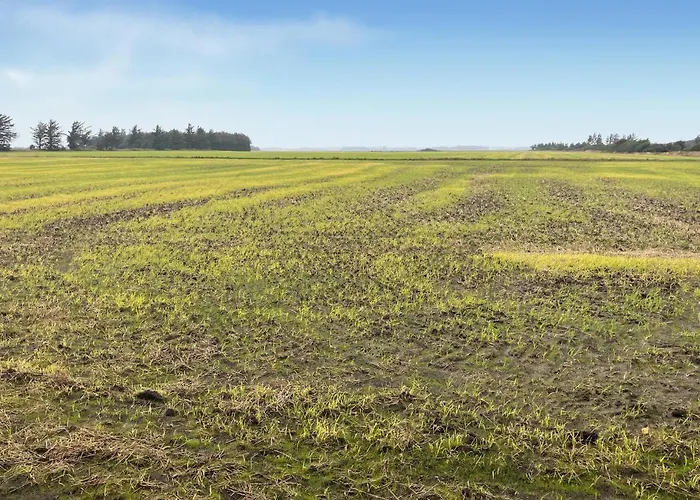 Gorgeous In With Wifi 度假居 Vemb